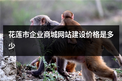 [year]花莲市企业商城网站建设价格是多少