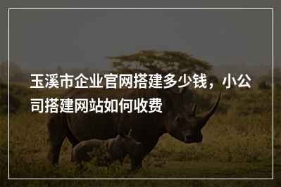 [year]玉溪市企业官网搭建多少钱，小公司搭建网站如何收费