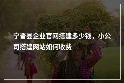 [year]宁晋县企业官网搭建多少钱，小公司搭建网站如何收费