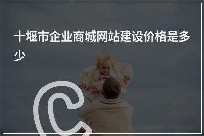 [year]十堰市企业商城网站建设价格是多少