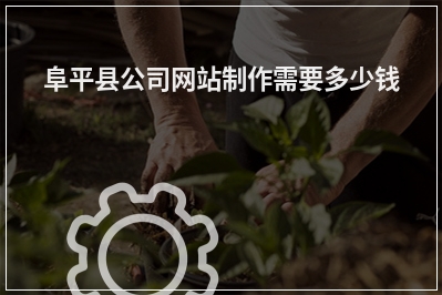 [year]阜平县公司网站制作需要多少钱