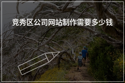 [year]竞秀区公司网站制作需要多少钱