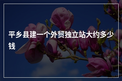 [year]平乡县建一个外贸独立站大约多少钱