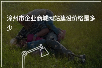 [year]漳州市企业商城网站建设价格是多少