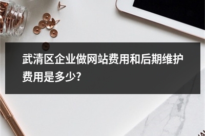[year]武清区企业做网站费用和后期维护费用是多少?