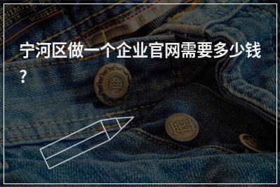 [year]宁河区做一个企业官网需要多少钱?