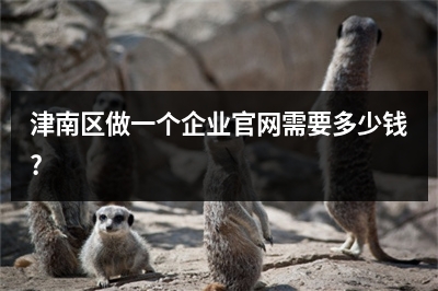 [year]津南区做一个企业官网需要多少钱?