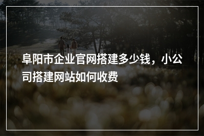 [year]阜阳市企业官网搭建多少钱，小公司搭建网站如何收费