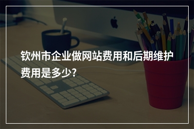 [year]钦州市企业做网站费用和后期维护费用是多少?