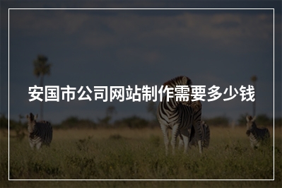 [year]安国市公司网站制作需要多少钱