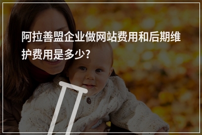 [year]阿拉善盟企业做网站费用和后期维护费用是多少?