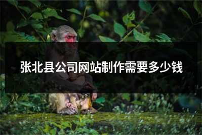 [year]张北县公司网站制作需要多少钱