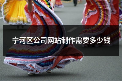 [year]宁河区公司网站制作需要多少钱