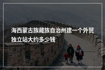 [year]海西蒙古族藏族自治州建一个外贸独立站大约多少钱