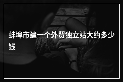 [year]蚌埠市建一个外贸独立站大约多少钱