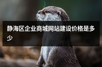 [year]静海区企业商城网站建设价格是多少