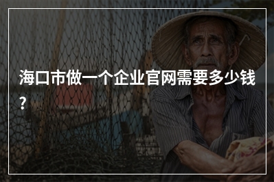 [year]海口市做一个企业官网需要多少钱?