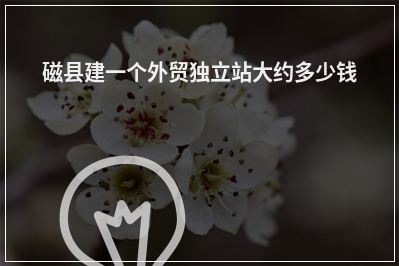 [year]磁县建一个外贸独立站大约多少钱