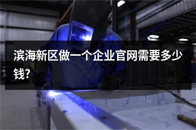 [year]滨海新区做一个企业官网需要多少钱?
