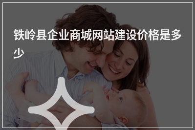 [year]铁岭县企业商城网站建设价格是多少
