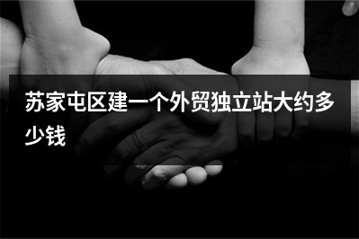 [year]苏家屯区建一个外贸独立站大约多少钱