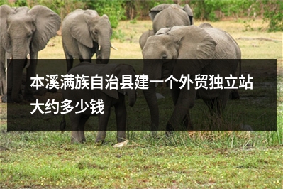 [year]本溪满族自治县建一个外贸独立站大约多少钱