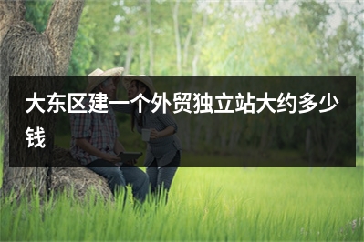 [year]大东区建一个外贸独立站大约多少钱