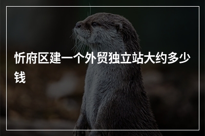 [year]忻府区建一个外贸独立站大约多少钱