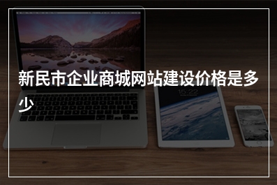 [year]新民市企业商城网站建设价格是多少
