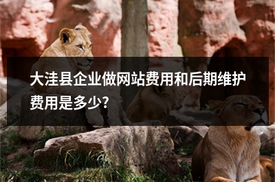[year]大洼县企业做网站费用和后期维护费用是多少?