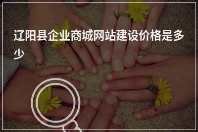 [year]辽阳县企业商城网站建设价格是多少