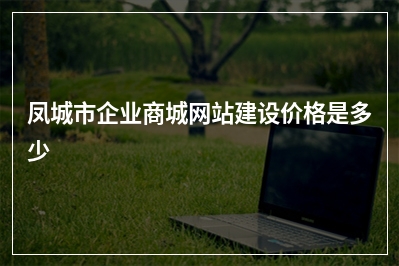 [year]凤城市企业商城网站建设价格是多少