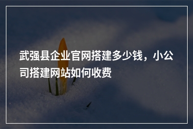 [year]武强县企业官网搭建多少钱，小公司搭建网站如何收费
