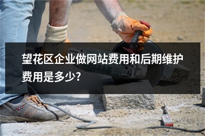 [year]望花区企业做网站费用和后期维护费用是多少?