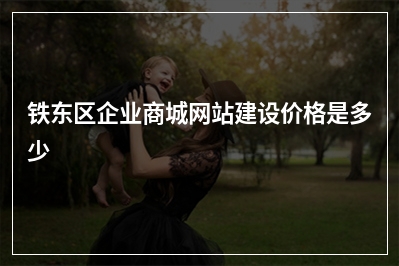 [year]铁东区企业商城网站建设价格是多少
