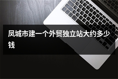 [year]凤城市建一个外贸独立站大约多少钱
