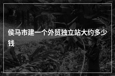 [year]侯马市建一个外贸独立站大约多少钱