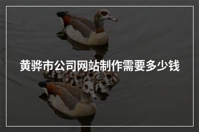 [year]黄骅市公司网站制作需要多少钱