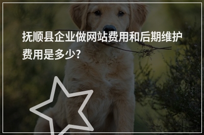 [year]抚顺县企业做网站费用和后期维护费用是多少?