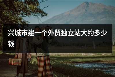 [year]兴城市建一个外贸独立站大约多少钱