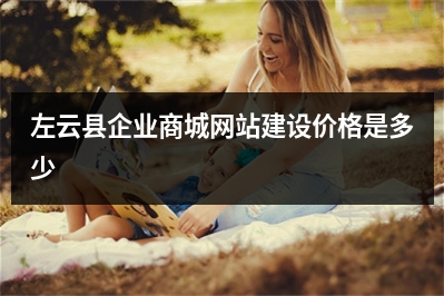 [year]左云县企业商城网站建设价格是多少