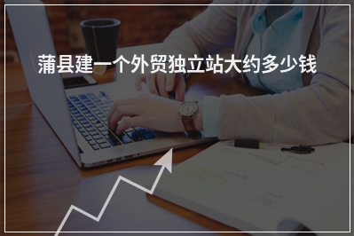 [year]蒲县建一个外贸独立站大约多少钱