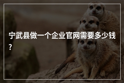 [year]宁武县做一个企业官网需要多少钱?