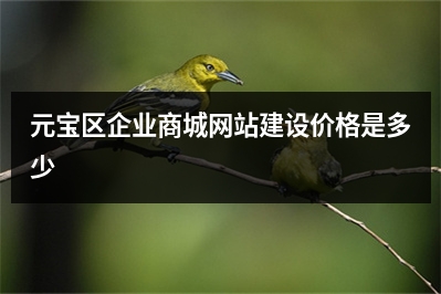 [year]元宝区企业商城网站建设价格是多少