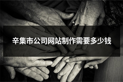 [year]辛集市公司网站制作需要多少钱
