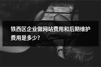 [year]铁西区企业做网站费用和后期维护费用是多少?