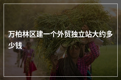 [year]万柏林区建一个外贸独立站大约多少钱