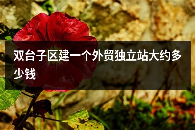 [year]双台子区建一个外贸独立站大约多少钱