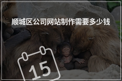 [year]顺城区公司网站制作需要多少钱