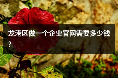 [year]龙港区做一个企业官网需要多少钱?